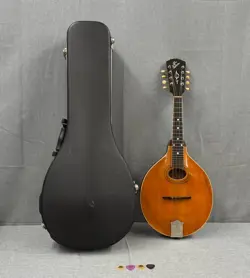 VINTAGE GIBSON A3