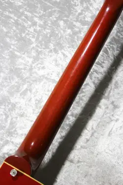 2017 ELECTRIC GUITAR