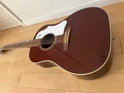PICKGUARD W/ CASE