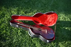 TOP GUITAR SN: