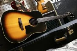 SUNBURST 1978 ACOUSITC