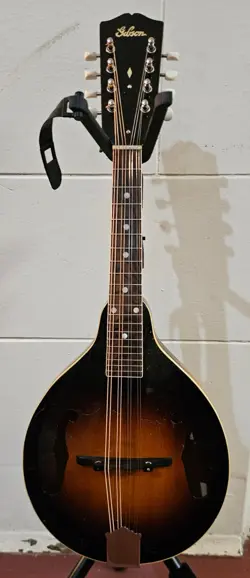 MANDOLIN W/CHIPBOARD CASE