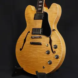 2023 NO250808