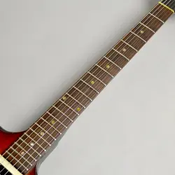 FIREBIRD NONREVERSE