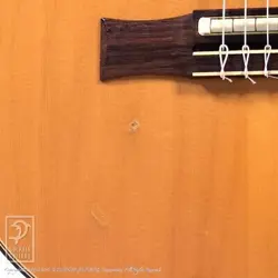 GIBSON CHET ATKINS CE NYLON STRINGS SAFE DELIVERY FROM JAPAN