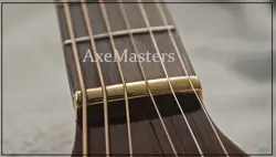 EPIPHONE TAYLOR...