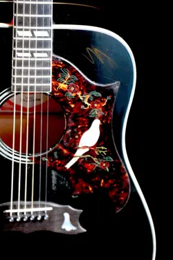 VINTAGE GIBSON DOVE 1979