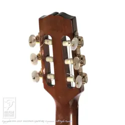 NYLON STRINGS NOW