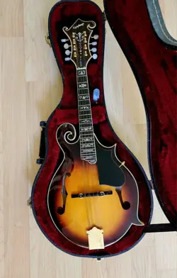 BY GIBSON STYLE.