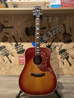 GIBSON HUMMINGBIRD CUSTOM 1974 1975 OCHANOMIZU