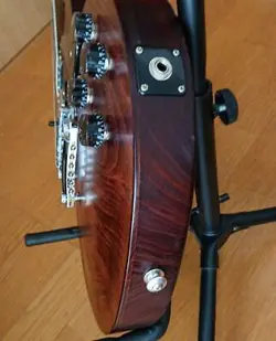 2016 W/GIG BAG