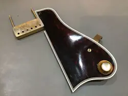 TORTOISESHELL 1961-63 VINTAGE