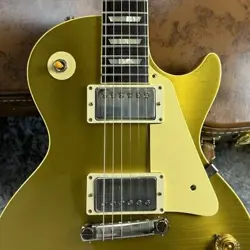 PAUL GOLDTOP LIGHT