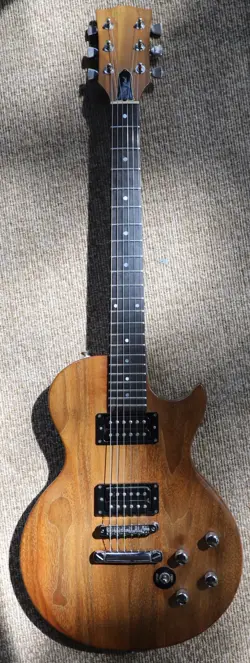 GIBSON 