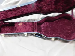 GIBSON LES PAUL CUSTOM CASE