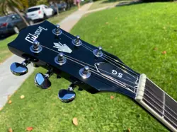 DELUXE SILVERBURST