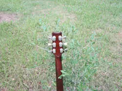 TOBACCO-BURST
