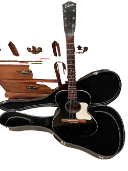 PICKGUARD WITH CASE