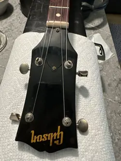 1960’S GIBSON TG-25