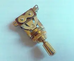SWITCH GOLD GOLD