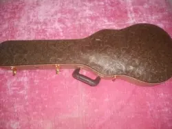CANADIAN MADE CASE FOR GIBSON LES PAUL JUNIOR (NEW)  TOOLED LEATHER TRIM