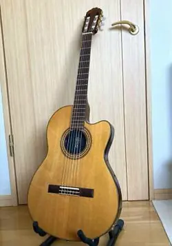 GUT GUITAR