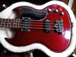 BASS 2007