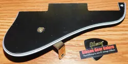 PICKGUARD PRO