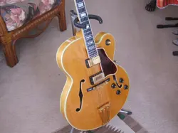 BYRDLAND GUITAR VINTAGE