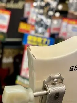 ALPINE WHITE-