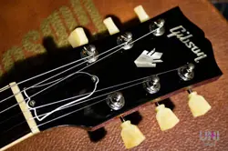 COLLECTION ES-335 2021