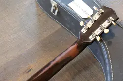 GUITAR SUNBURST CASE