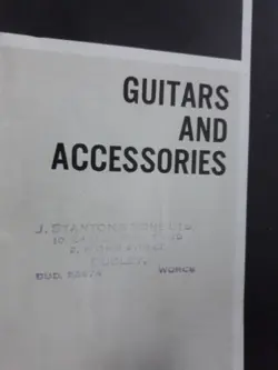 1966 GIBSON HOFNER