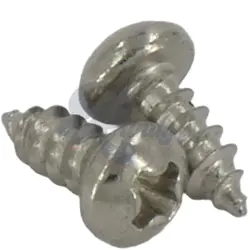ADVANCED PLATING INC (API) TRUSS ROD SCREWS (2-PACK) - FITS GIBSON®