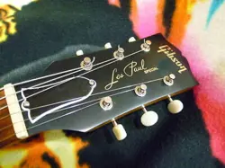 TRIBUTE-HUMBUCKER NATURAL WALNUT