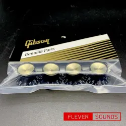 GENUINE 2V/2T