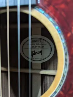 AG ACOUSTIC-ELECTRIC