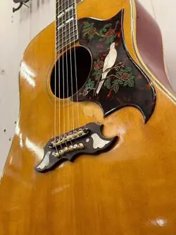 GIBSON 1964 DOVE 247479 NO PROFIT SHARING OK SAFE DELIVERY FROM JAPAN