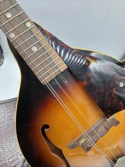 CASE STRINGS