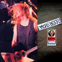GUITAR STICKERS MORE BEER JAMES HETFIELD DECAL GIBSON EXPLORER
