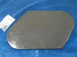 VINTAGE 70'S GIBSON L6-S CUSTOM CONTROL PLATE COVER BACK CAVITY COVER