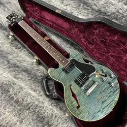 2012 SEMI HOLLOW