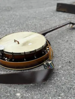 RARE BANJO
