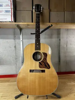 ACOUSTIC GUITAR 2010S