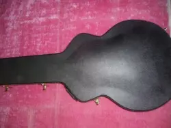 GIBSON BYRDLAND CASE MADE IN CANADA  NEW BEST CASE FOR YOUR BYRDLAND