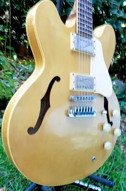ES 335 SHAW