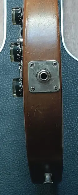 THE PAUL VINTAGE
