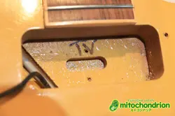 GIBSON 2014 JAPAN LIMITED RUN LES PAUL SPECIAL / TV YELLOW