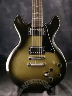 1981 PROFESSIONAL