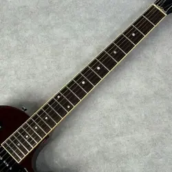 GUITAR/LES SPECIAL